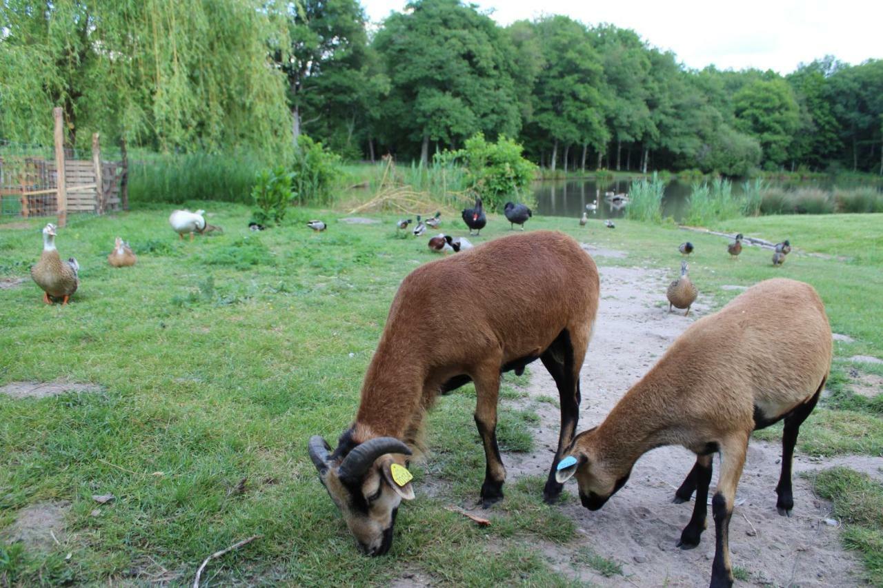 Ferme des Poulardieres Crouy-sur-Cosson Exterior foto